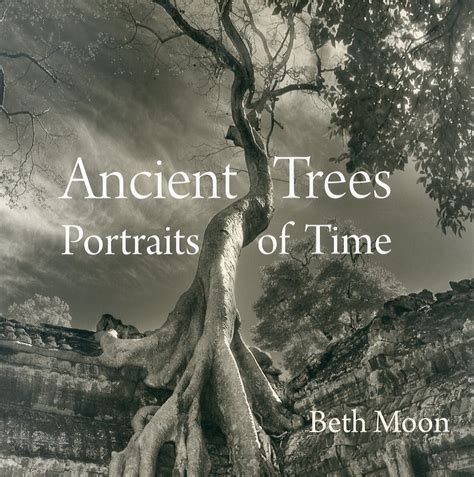 ancient trees portraits of time Kindle Editon