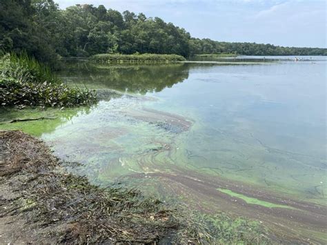 andrews pond harwich ma water quality