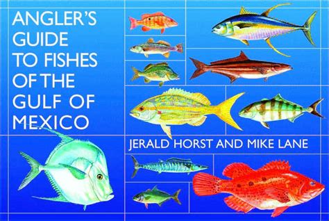 anglers guide to fishes of the gulf of mexico Epub