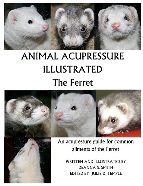 animal acupressure illustrated the ferret Kindle Editon