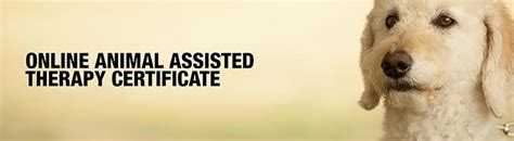 animal assisted therapy graduate programs