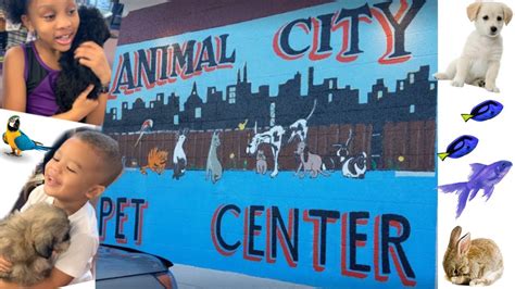 animal city pet center