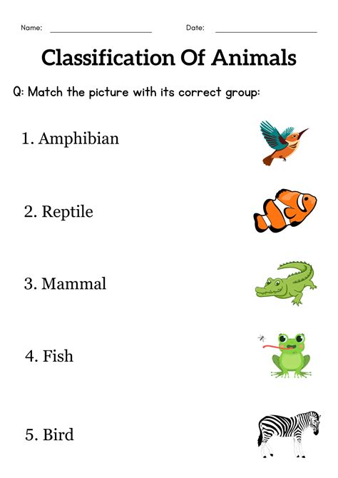 animal classification 1st grade PDF