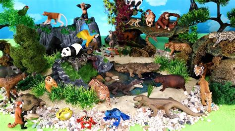 animal diorama animal list Kindle Editon