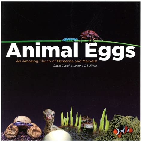 animal eggs an amazing clutch of mysteries and marvels Doc