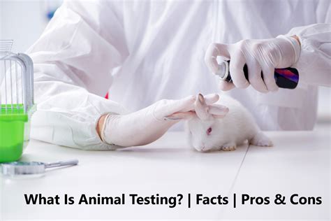 animal experimentation and testing hot pro or con issues Epub