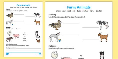 animal farm grade 11 questions and answers Reader