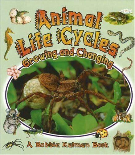 animal life cycles growing and changing natures changes Reader