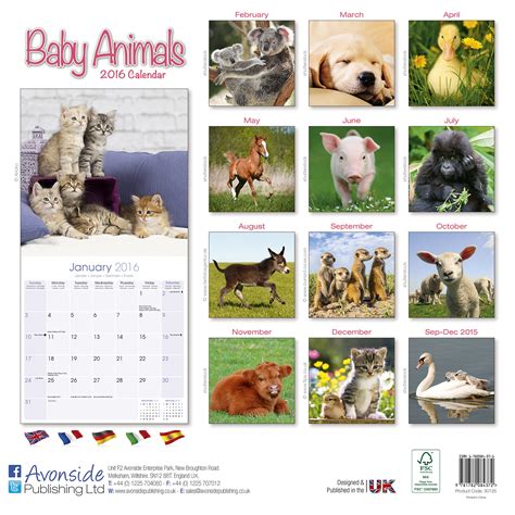 animal portraits 2016 wall calendar Reader