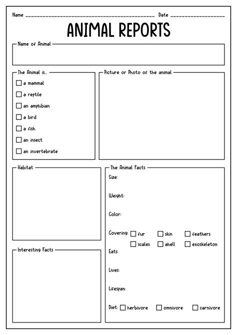 animal report outline second grade PDF