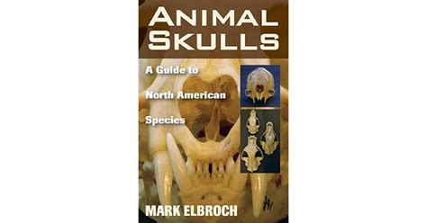 animal skull identification guide Kindle Editon