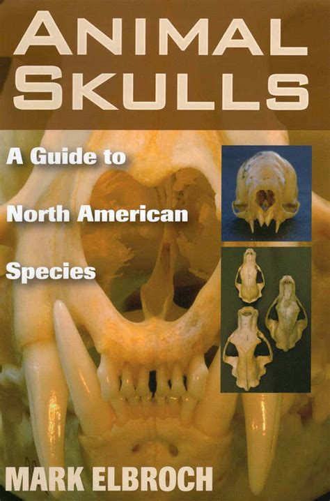 animal skulls a guide to north american species Reader
