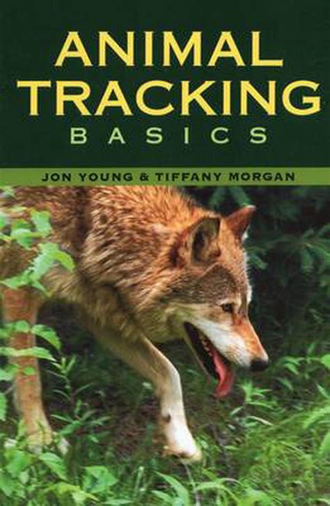 animal tracking basics Doc