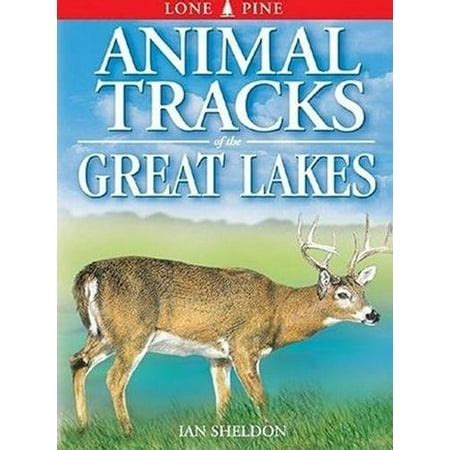 animal tracks of the great lakes animal tracks guides PDF