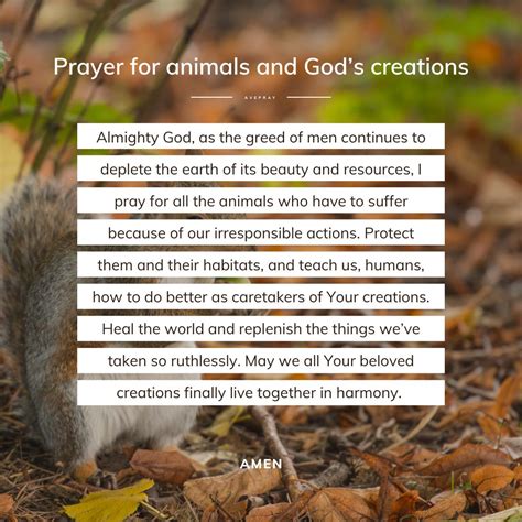 animals pray in their own way english Doc