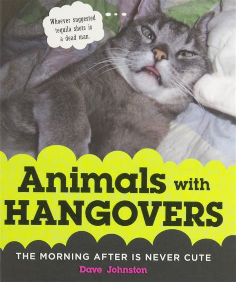 animals with hangovers the morning after is never cute Reader