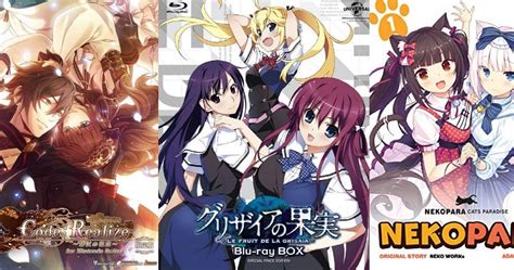 anime and the visual novel anime and the visual novel PDF