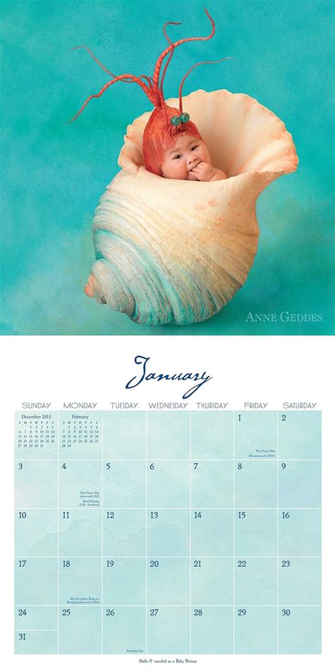 anne geddes 2016 wall calendar under the sea Epub