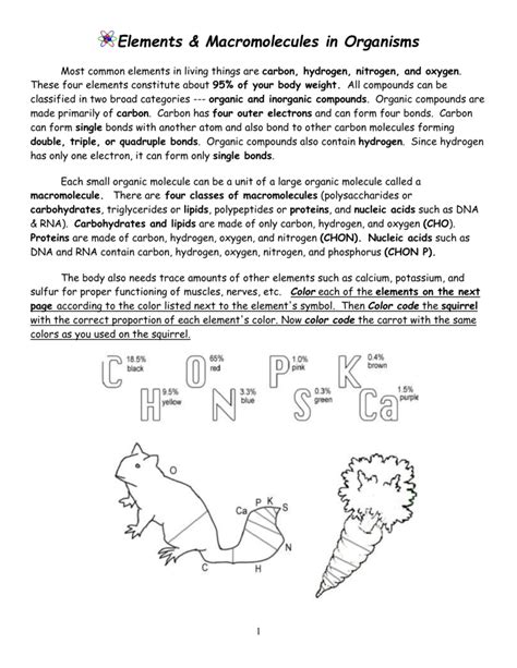 answer key elements and macromolecules in organisms Epub