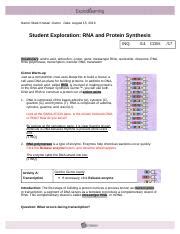 answer key explorelearning rna and protein synthesis Doc