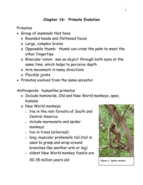 answer key for chapter 16 primate evolution Kindle Editon