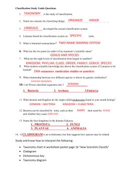 answer key for classification Doc