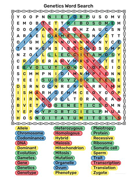 answer key for genetic word search Reader