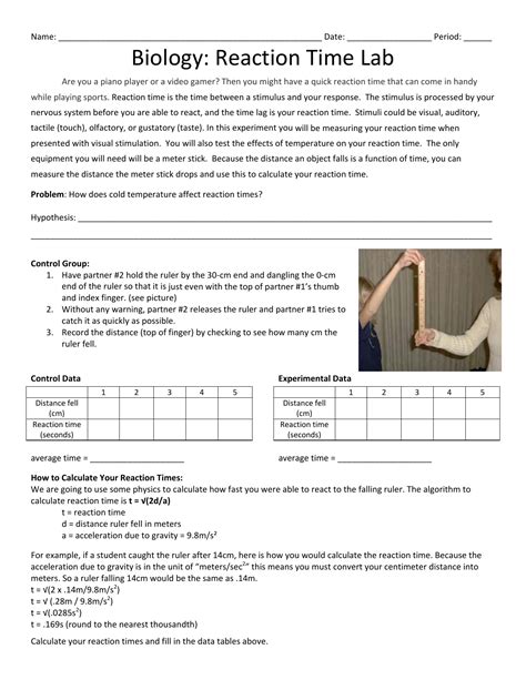 answer key for reaction time lab Doc