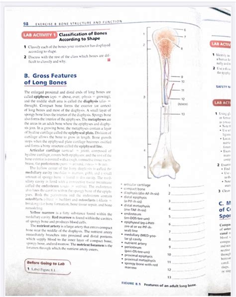 answer key laboratory exercise bone structure Epub