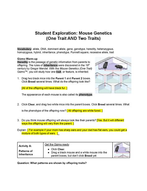 answer key mouse genetics Doc