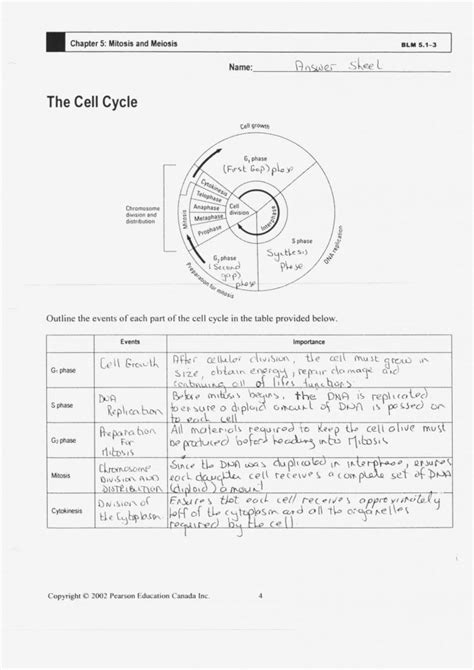 answer key note taking on cell reproduction PDF