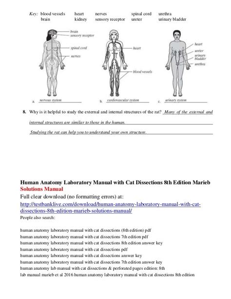 answer key to human anatomy laboratory manual with cat Doc