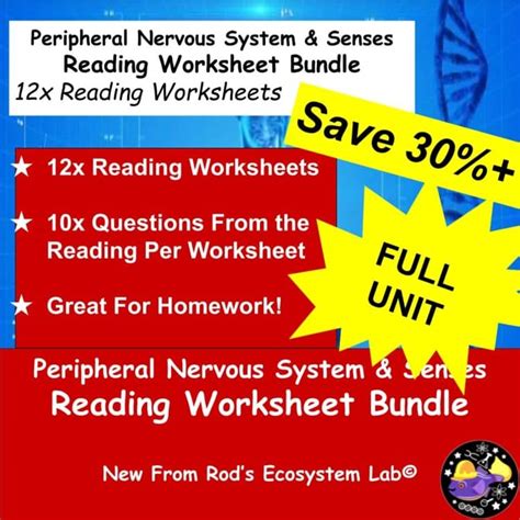 answer key to nervous system unit PDF