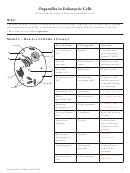 answer key to organelles in eukaryotic cells Kindle Editon