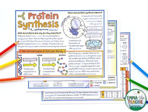 answer key to protein synthesis Epub