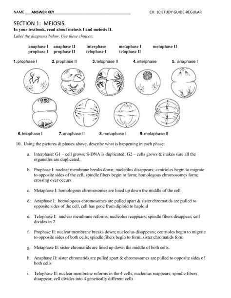 answer key to section meiosis active skills Kindle Editon