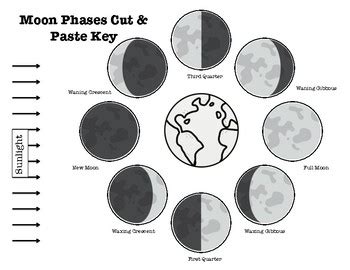 answer to moon phases cut paste Reader