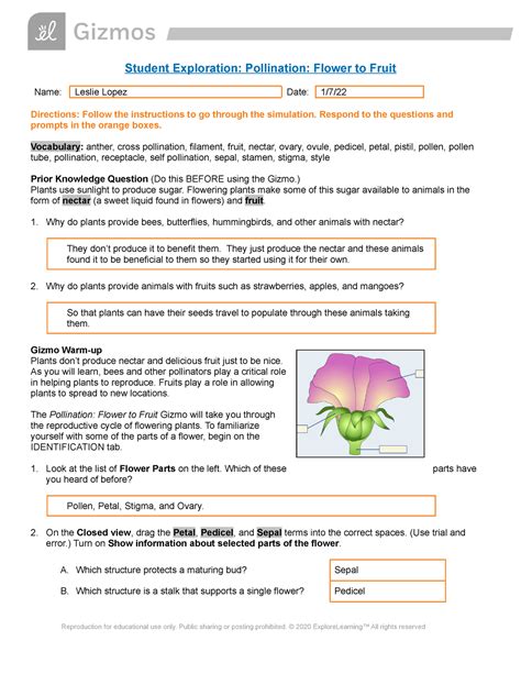 answers for pollination flower and fruit gizmo Epub