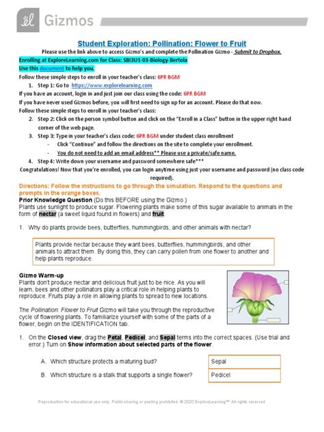 answers for pollination flower and fruit gizmo PDF