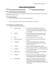 answers for psych sim 5 activities Epub