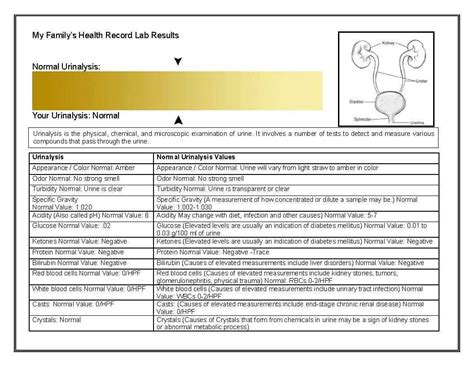 answers for simulating urinalysis lab activity PDF