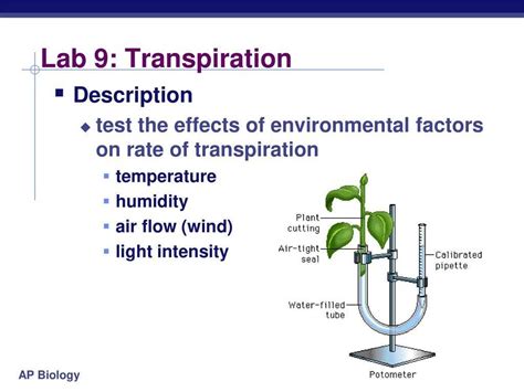 answers to all ap biology labs Doc