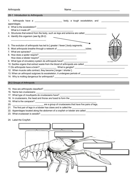 answers to arthorpods sheet Doc