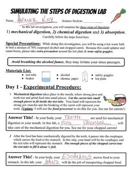 answers to digestion spitting lab Doc