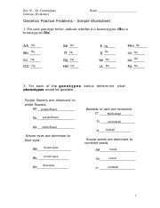 answers to dr cunningham genetics practice problems Reader