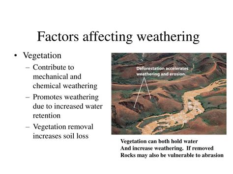 answers to factors affecting weathering Reader