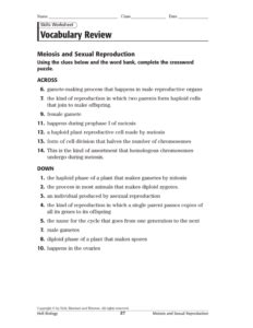 answers to holt biology cell structure Epub