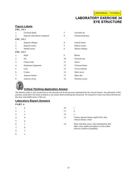 answers to lab 34 eye structure Reader