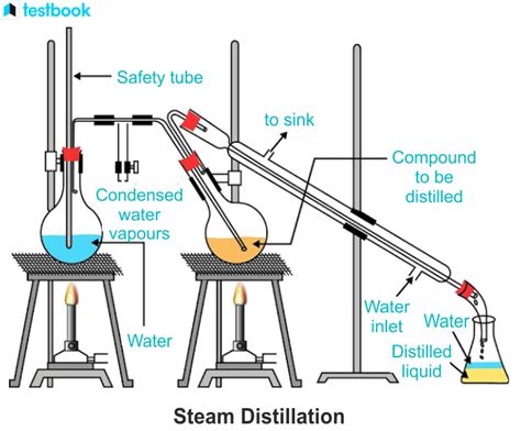 answers to lab steam distillation PDF