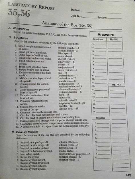 answers to laboratory report 35 the eye Reader